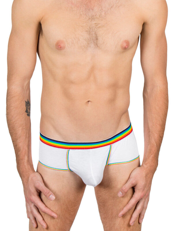 Men's Refracted Light Brief with Rainbow Waistband