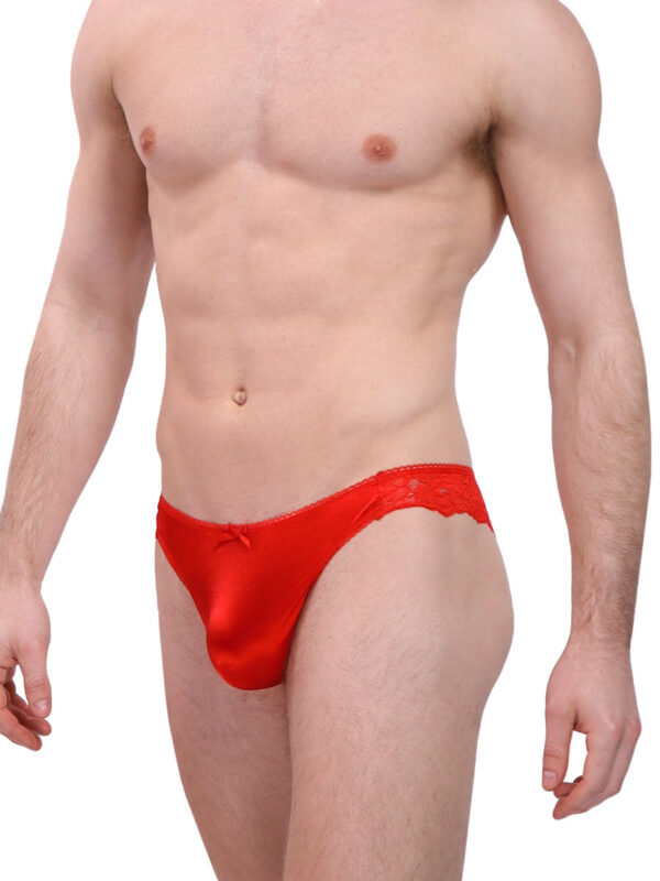 Men's Luxe Satin & Lace Cheekster Briefs - 이미지 4