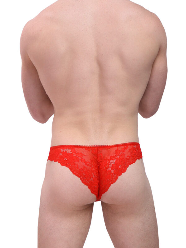 Men's Luxe Satin & Lace Cheekster Briefs - 이미지 6