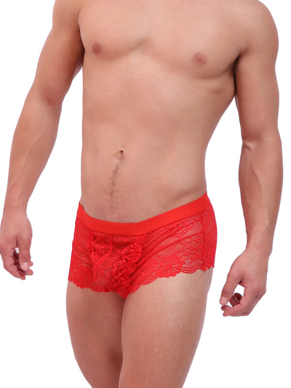 Men's Valentina Lace Shorty Briefs - Kuva 2